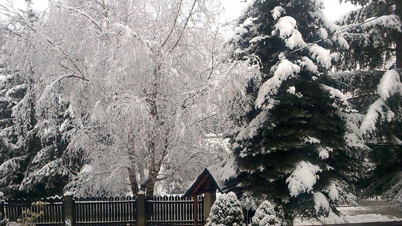 Pokoje Goscinne U Gochy Ustrzyki Dolne Exteriör bild